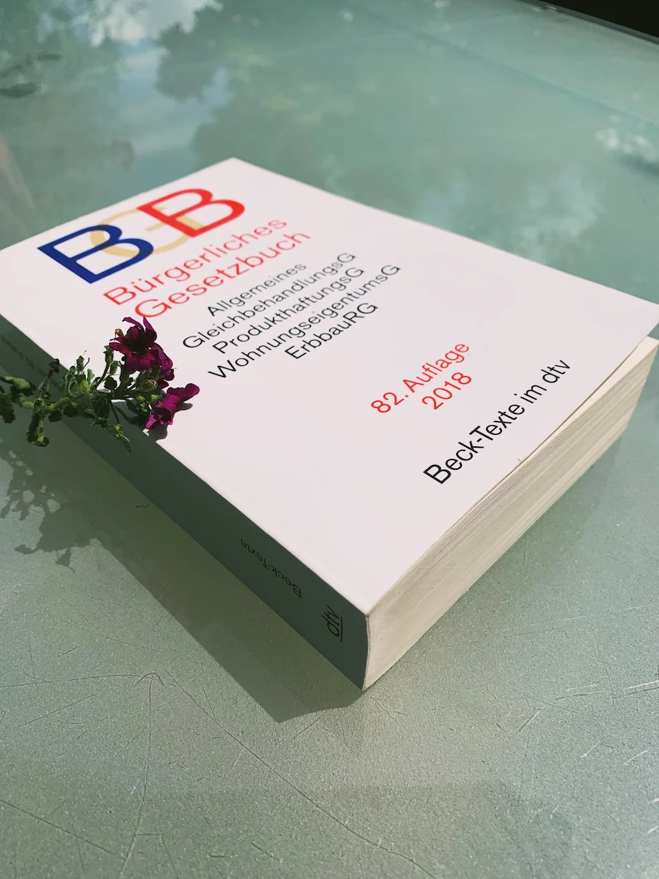 Buch von immoflux GmbH